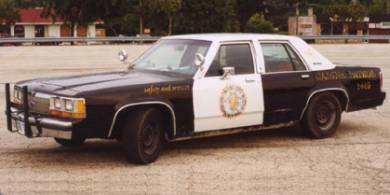 Modern Racer Features Police Cars Ford Crown Victoria